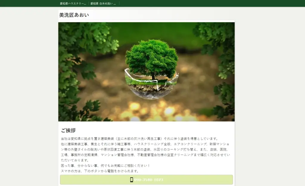 ハウスクリーニング 美洗匠あおい